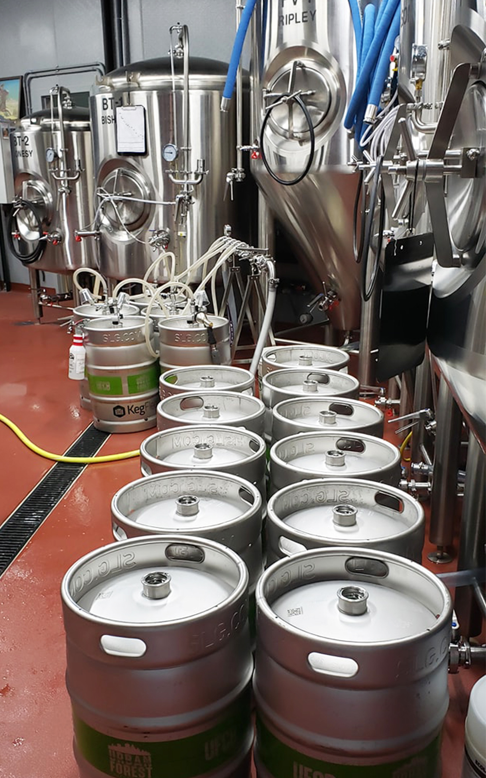 5BBL Brewery Equipment，5bbl beer brewing system